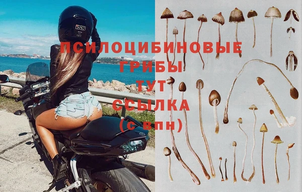 эйфоретик Алексин