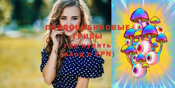 таблы Губаха