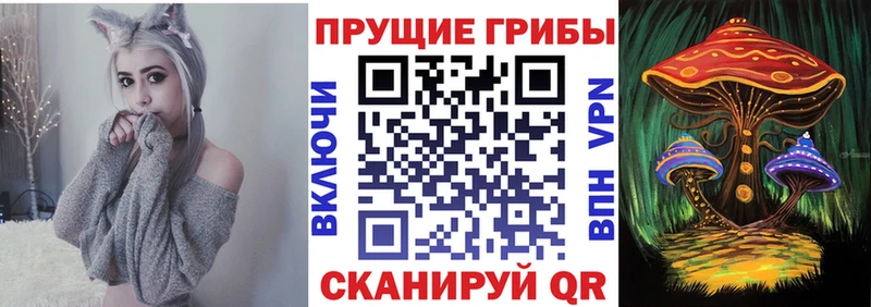 гидра как войти  купить закладку  Карабаш  Галлюциногенные грибы Magic Shrooms 